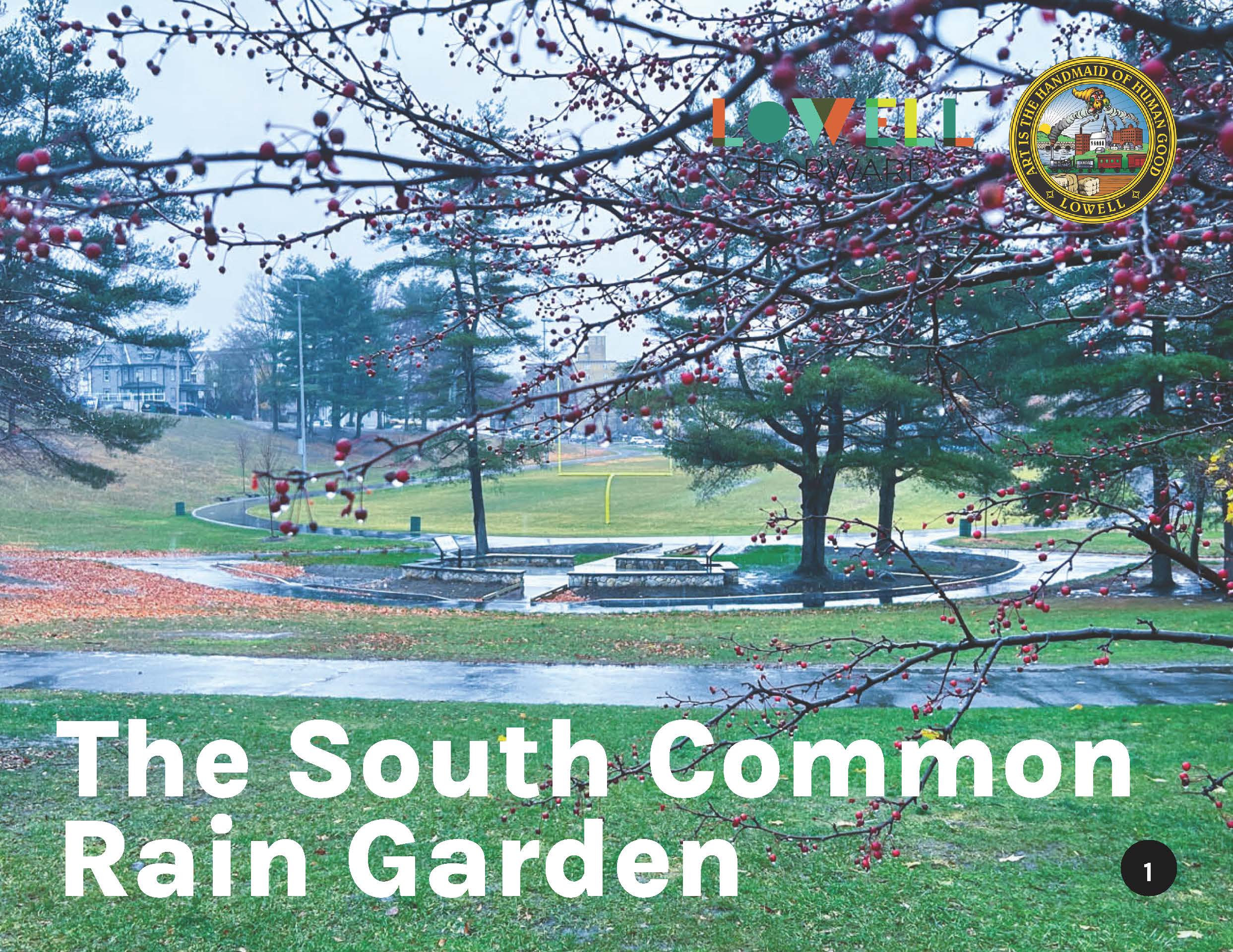 20250306_South Common Rain Garden Educational Graphics_Page_01